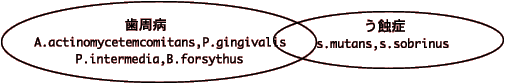 �����a    
A.actinomycetemcomitans,P.gingivalis
P.intermedia,B.forsythus