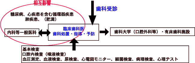 ���A�a�A�S�������܂ޏz�펾��
�x�����A�i�얞�j